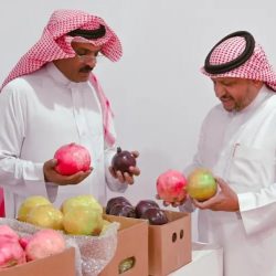 *احتفال المراكز النسائية في قاعدة الملك خالد الجوية باليوم الوطني* 