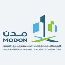 انطلاق تمرين “أسد الجنوب 4” بين القوات البرية ونظيرتها الفرنسية.