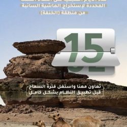 توقيف تنظيم إجرامي بينهم موظفين ومحامين ورجال أعمال استهدفوا مواطناً كبيراً بالسن بالاحتيال المالي بمبلغ (23) مليون ريال