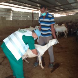 وزير الشؤون الإسلامية: وجهودهم في تكوين جيل يسهم في التطوير والتنمية والازدهار