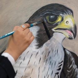 المملكة تتابع عن كثب تطورات الأوضاع غير المسبوقة بين عددٍ من الفصائل الفلسطينية وقوات الاحتلال الاسرائيلي