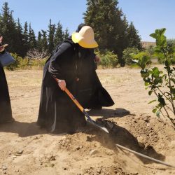 ترقية الاستاذ علي بن إبراهيم صديق حمدي مدير قسم النظافة ببلدية محافظة الطوال إلى المرتبة التاسعة