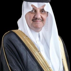 اليونيسف: استشهاد 500 طفل فلسطيني وإصابة 600 آخرين بجروح والعدد في ازدياد