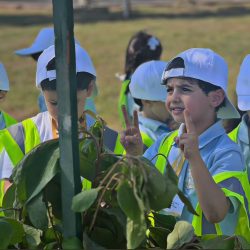 طرح 7 فرص استثمارية في الخفجي