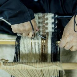 نوادر إكسسوارات الصقور المرصعة بالألماس والذهب تجذب زوار معرض الصقور والصيد السعودي الدولي 2023