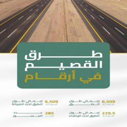 باسهل يحقق فضية العالم لفنون القتال المختلطة 2023