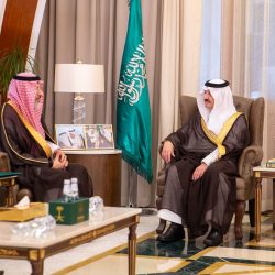 قطاع الخدمات السحابية يشهد أكبر نمو له  نظراً لحجم السوق ومعدل النمو المتسارع