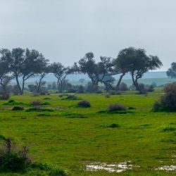 6 آلاف طالب وطالبة بالشرقية يشاركون بسباق الجري الدولي