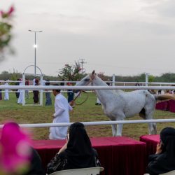 “الذوق العام”.. تطلق كتاب حياتنا ذوق للطلاب 