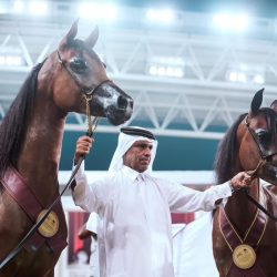 منظمة بريف البحرينية تصنع رقما عالميا جديدا