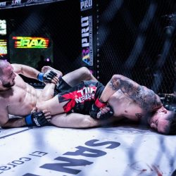 اختتام منافسات بطولة الشقب الدولية لجمال الخيل