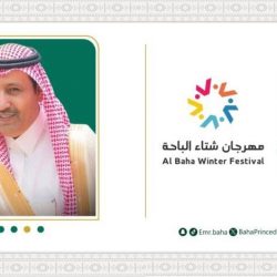 منظمة بريف تعلن عن نزالات بطولة BRAVE CF 79