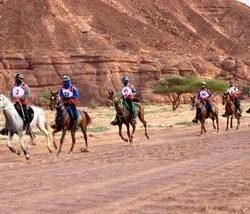 4 أيام تفصلنا عن انطلاق أسبوع بريف الدولي للقتال 2023    -منظمة بريف تقص شريط فعاليات بطولتها ٧٧ بالبحرين 