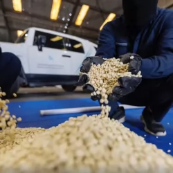 مغادرة الطائرة الإغاثية السعودية الثامنة عشر لإغاثة الشعب الفلسطيني في قطاع غزة التي يسيرها مركز الملك سلمان للإغاثة