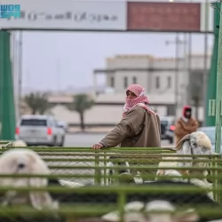 حالة الطقس المتوقعة اليوم الجمعة