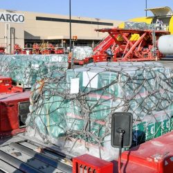 بمشاركة أكثر من ٥٠ جوادا مربط المهاب يطلق مزاده الثاني للخيول