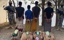 دوريات الأمن بمنطقة جازان تقبض على مخالف لنظام أمن الحدود لترويجه (2) كيلوجرام من مادة الحشيش المخدر