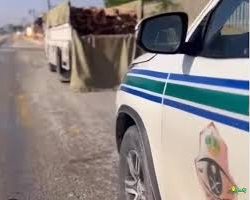 حرس الحدود بجازان يقبض على (4) مخالفين لنظام أمن الحدود لمحاولتهم تهريب (60) كيلوجرامًا من نبات القات المخدر