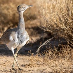 حالة الطقس المتوقعة اليوم الخميس