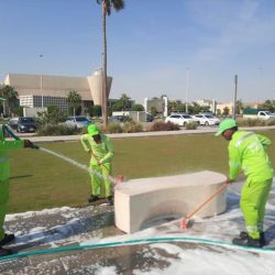 المملكة وقطر .. ثوابتٌ راسخةٌ تؤطرها أواصر الأخوة والمصير المشترك