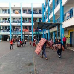 بجوائز تبلغ 60 مليون ريال … نادي الصقور السعودي والهيئة الملكية لمحافظة العلا يعلنان مسارات “كأس العلا للصقور”