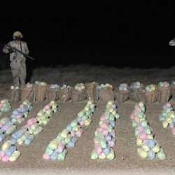 269 مهتمة استفاد من مبادرة رائدات الشرقية