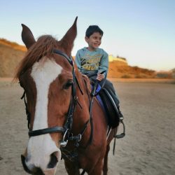 أمير الشرقية يرعى تخريج 751 حافظاً للقرآن من الجمعية الخيرية بالمنطقة