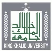 ملتقى الفيديو آرت في يومه الرابع يجيب على تساؤلات   هامة ويسهل العبور لفهم هذا الفن المعاصر 