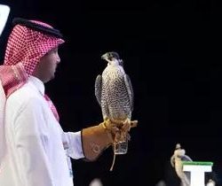 انطلاق فعاليات ملتقى” تطوير القيادات الشابة ” بمنطقة نجران 