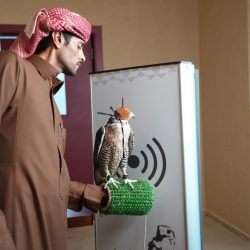 وزير التجارة يعين منيفة العنزي عضوًا بمجلس إدارة الغرفة التجارية بعرعر