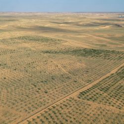 أمير منطقة جازان يشرّف الحفل الخطابي لمهرجان “عذق” بمحافظة ضمد