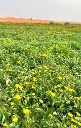 خفض عدد المناطق التي يشملها الإنذارمن حدوث فيضانات في التشيك إلى 24 منطقة