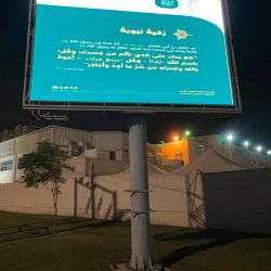 ” شجيرة العرفج ” توارث العرب عنها قصص وحكايات