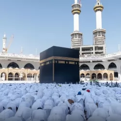 حرس الحدود بعسير يحبط تهريب (252) كيلوجرامًا من نبات القات المخدر