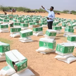 “الإحصاء الفلسطيني”: العدوان الإسرائيلي على قطاع غزة يدمر خُمس الأراضي الزراعية في القطاع