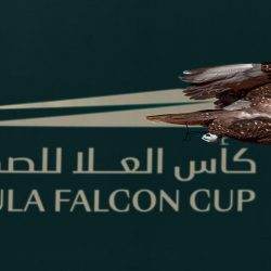 فعالية حجرة ورقة مقص في موسمها الثالث على التوالي وبحضور 4000 طفل 