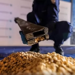 خطبتا الجمعة من المسجد الحرام والمسجد النبوي