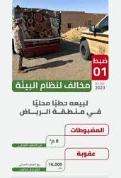 المملكة تستضيف الاجتماع الـ 68 للمجلس التنفيذي للمنظمة العربية للطيران المدني