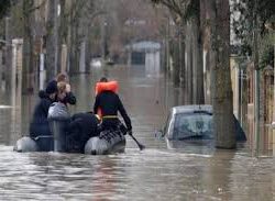 “الغطاء النباتي” يزرع مليون شجرة في واحة بريدة بالتعاون مع القطاع الخاص