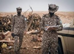 مركز الملك سلمان للإغاثة يوزع 1.288 قسيمة شرائية في عدة مناطق بجمهورية لبنان