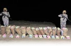 مكافحة المخدرات تقبض على (3) مقيمين بمنطقة القصيم لترويجهم مادتي الحشيش والإمفيتامين المخدرتين