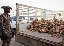 سمو ولي العهد يؤدي صلاة الميت على صاحب السمو الملكي الأمير ممدوح بن عبدالعزيز – رحمه الله – بالمسجد الحرام