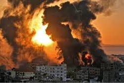 حرس الحدود بعسير يحبط تهريب( 480 ) كيلوجرامًا من نبات القات المخدر 