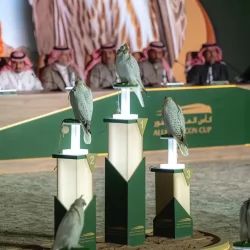 حالة الطقس المتوقعة اليوم الخميس