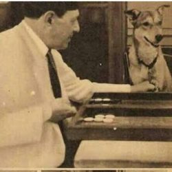 ضيوف خادم الحرمين يزورون مسجد قباء ومقبرة الشهداء وجبل الرماة