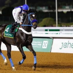 نادي سباقات الخيل يكشف عن قائمة الخيل المسجلة لمهرجان كأس السعودية 2024