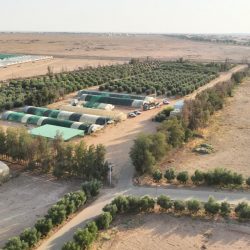 قطر ولبنان يقصان شريط كأس آسيا 2023