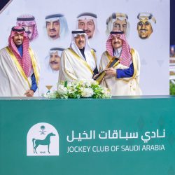 حرس الحدود بجازان يحبط تهريب (280) كيلوجرامًا من نبات القات المخدر