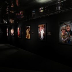 بلدية القطيف: إطلاق مهرجان الزهور الثالث 2024 الخميس القادم في منتزة سيهات