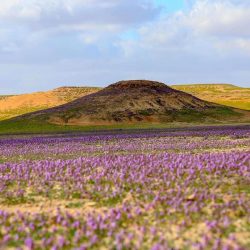 حالة الطقس المتوقعة اليوم السبت